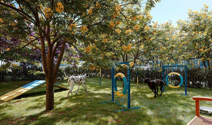 Pet place
